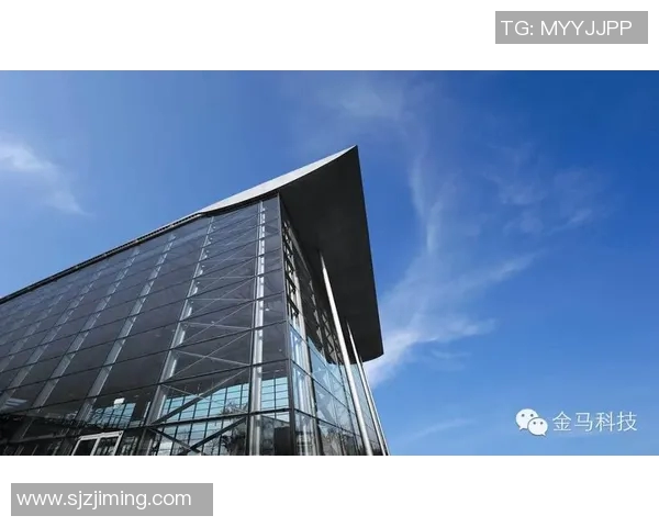 武汉乒乓球队逆袭之旅揭秘世界锦标赛背后的奋斗与荣耀