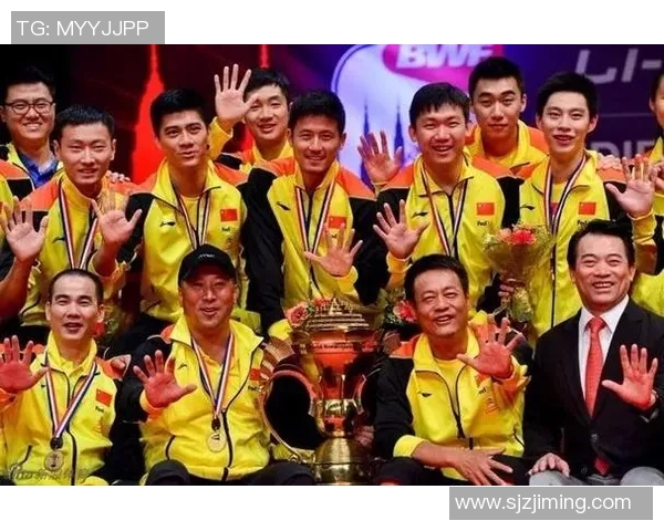 羽毛球战术分析揭晓北京羽毛球队荣登第六名榜单