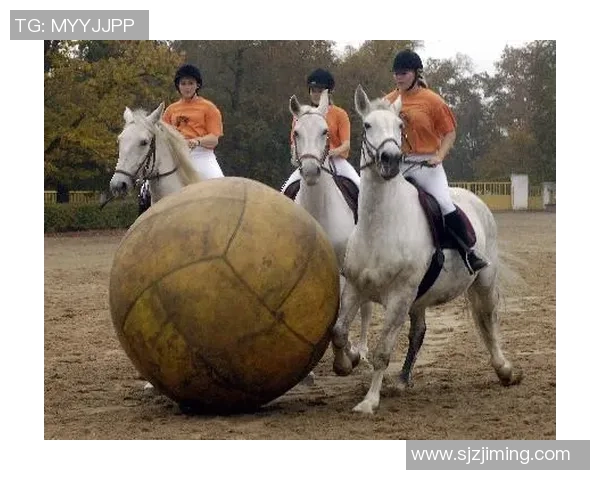 足球明星与马术的完美结合精彩瞬间大揭秘视频合集 足球明星与马术的完美结合精彩瞬间大揭秘视频合集